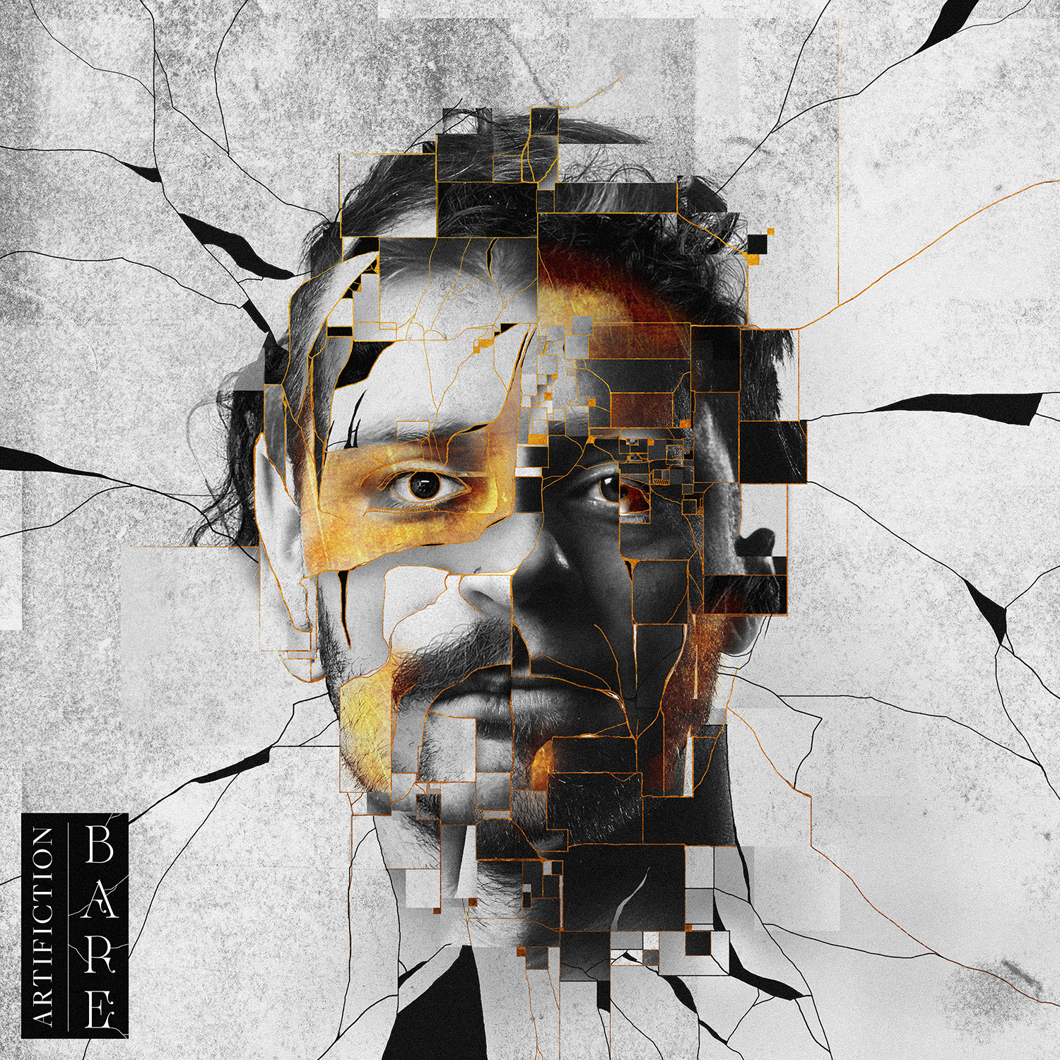 Coverartwork Portraits